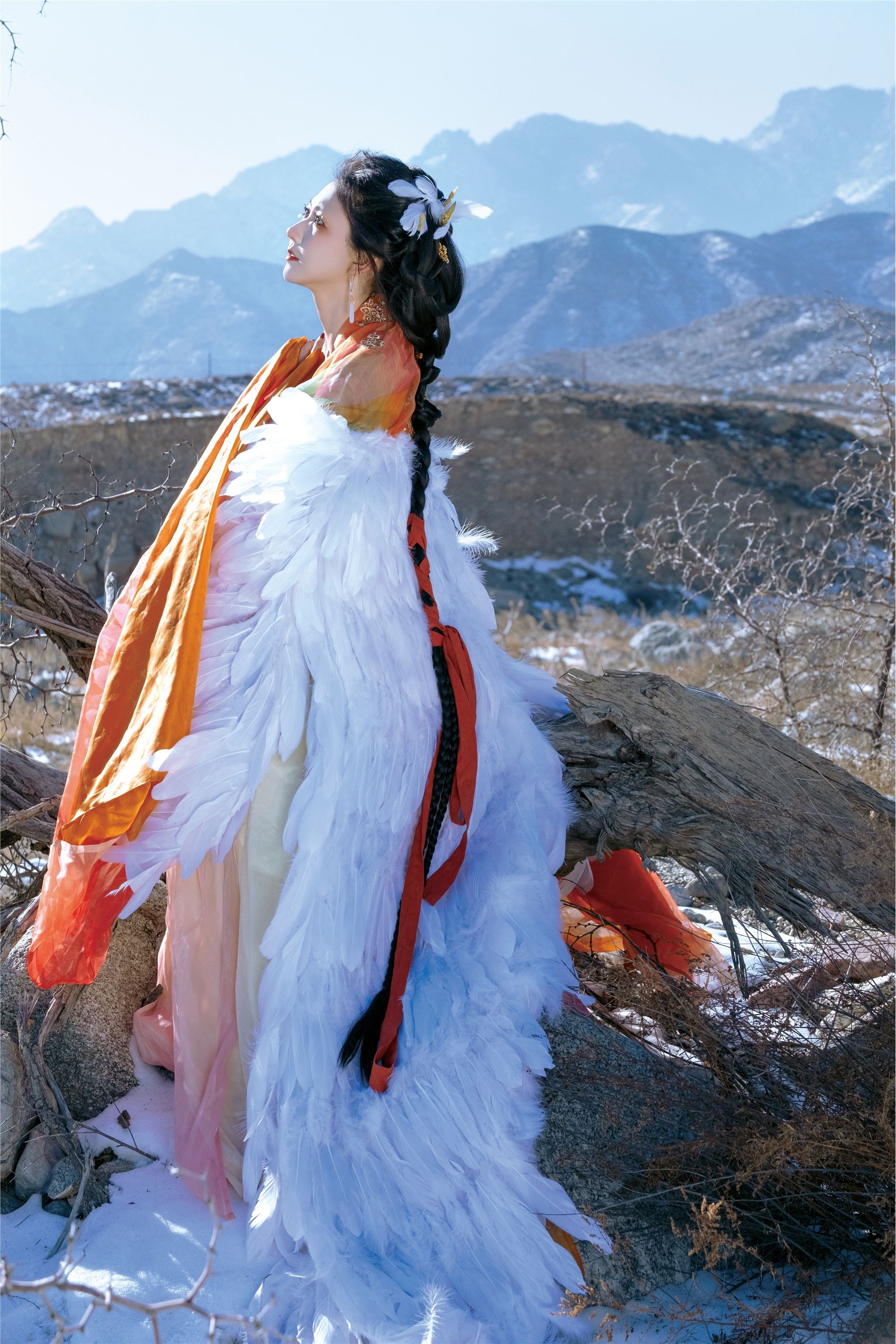 YITUYU 艺图语 2025.03.11 倾城 小贝壳请不要放弃